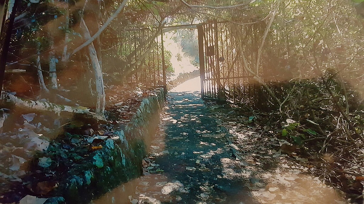 Burleigh head national park