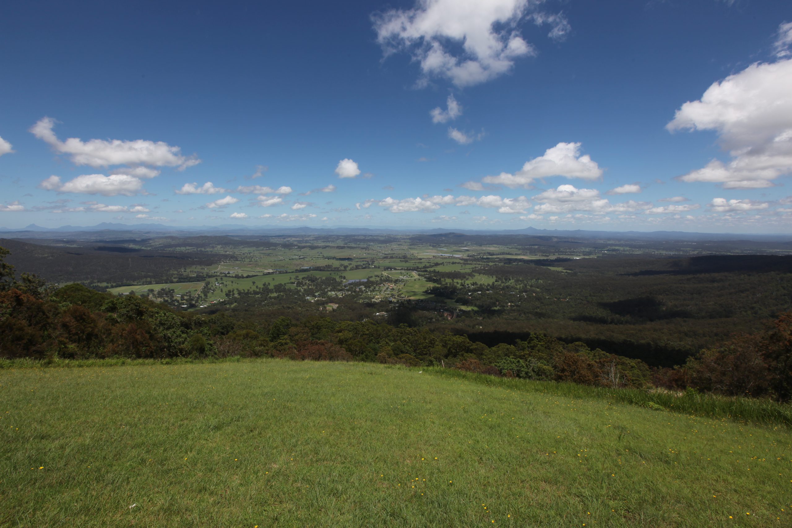 Tamborine Mountain